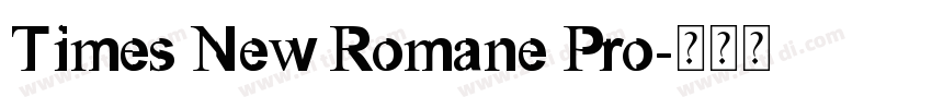 Times New Romane Pro字体转换